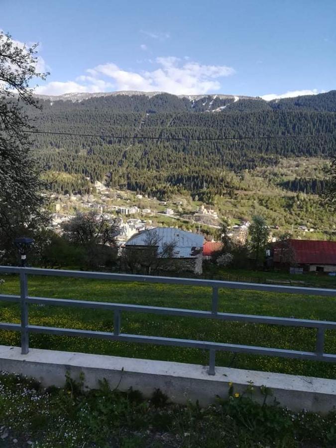 Valodia Guest House In Mestia Eksteriør billede